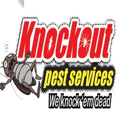Photo: Knockout Pest Services